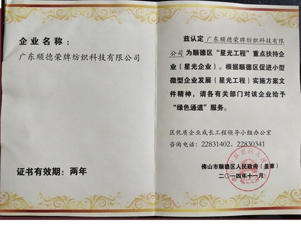 东升国际荣获政府重点扶持企业